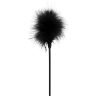 Pluma Cosquillas Filtreo De Clitoris Genitales Plumas Pajaro