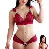 Conjunto Lenceria Ropa Interior Femenina Encaje