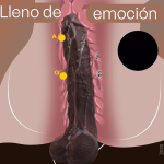 478 f522a91569580a86dildo20negro204.fw 2